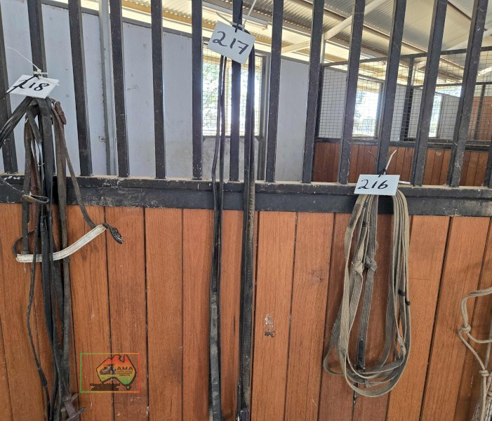 2x Double Clip Stallion Leads