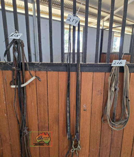 2x Double Clip Stallion Leads - photo 2