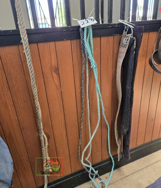 4x Lead Ropes - photo 2