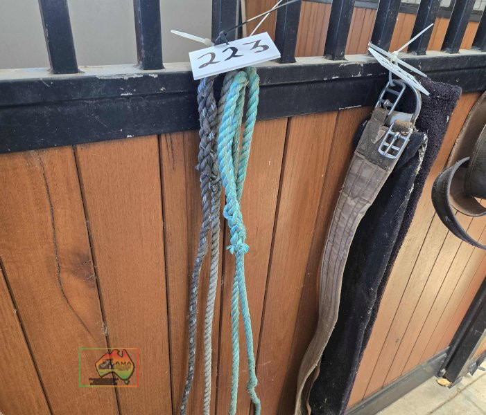 4x Lead Ropes