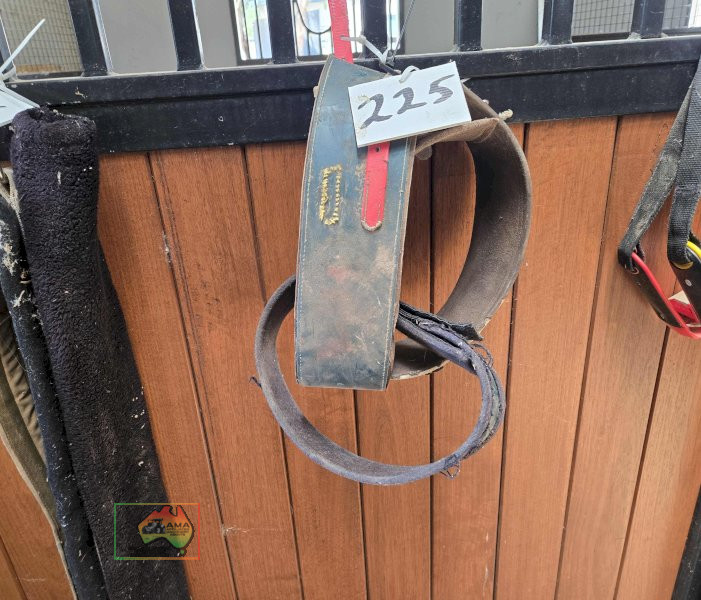 3x Neck Collars/Wind Sucking Straps