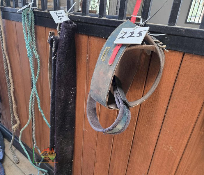 3x Neck Collars/Wind Sucking Straps - photo 2