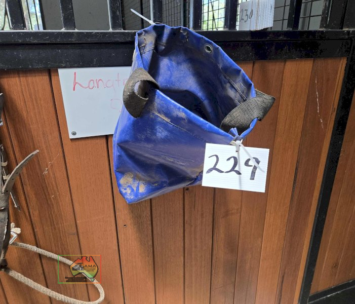 Feed Bag