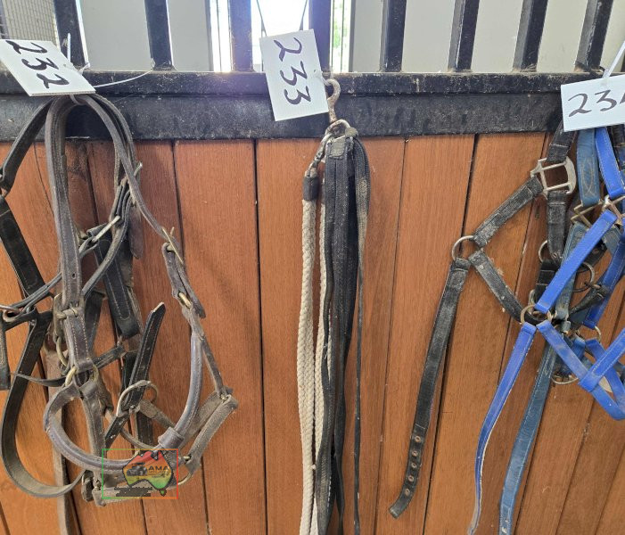 Lunging Leads