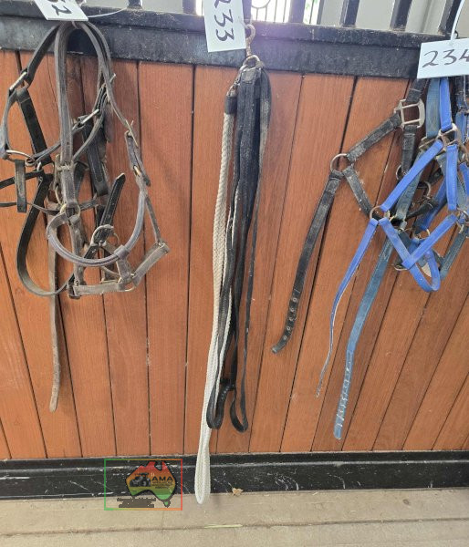 Lunging Leads - photo 2