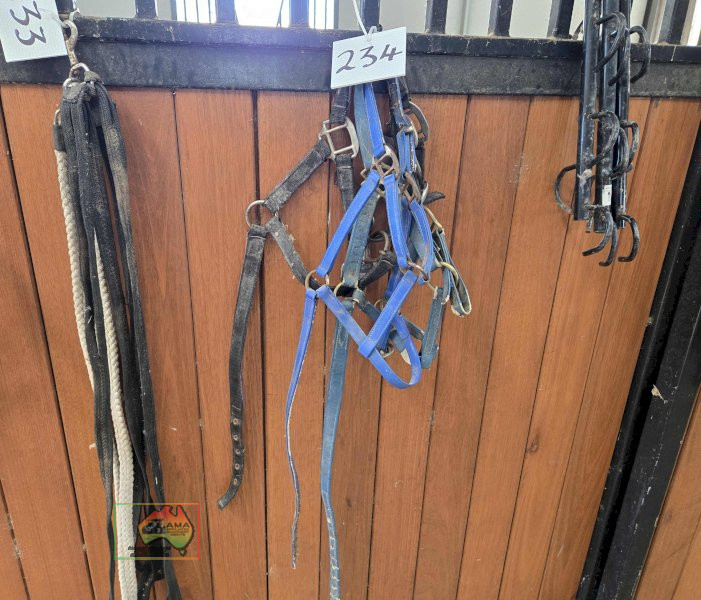 3x Head Stalls