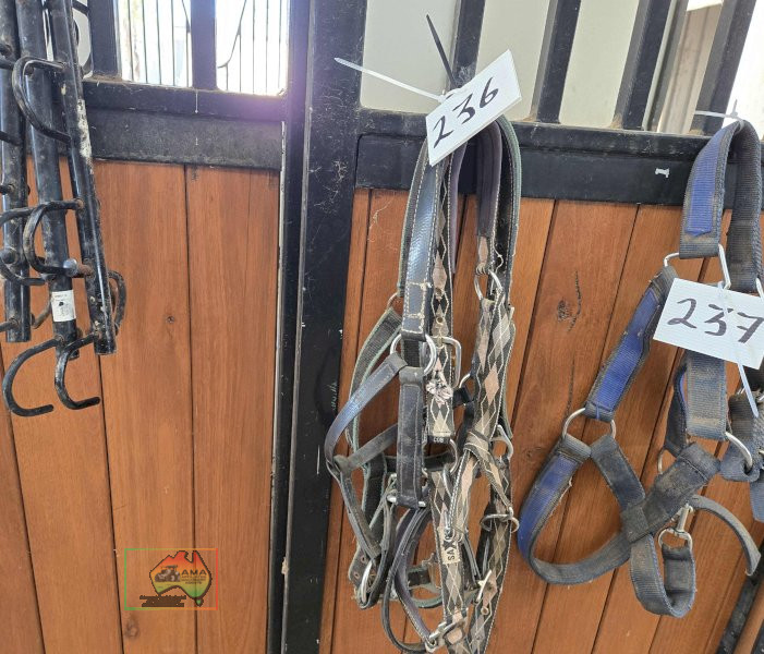 3x Large Head Stalls