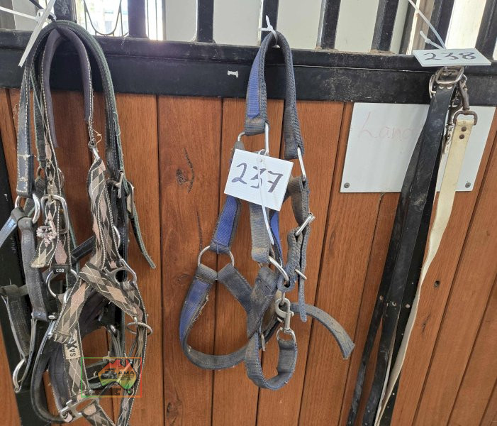 X-Large Head Stall, Suit Clydesdale.