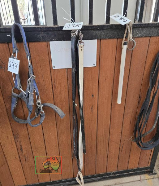 6x Neck Straps - photo 2