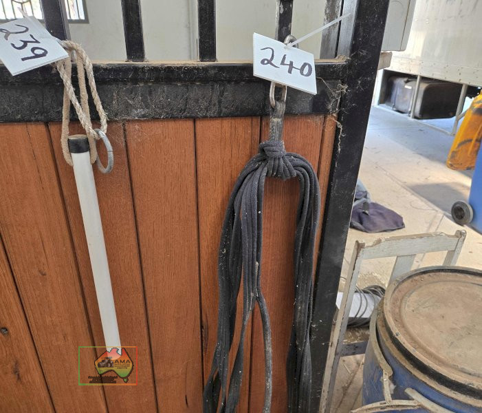 Lunging Rope