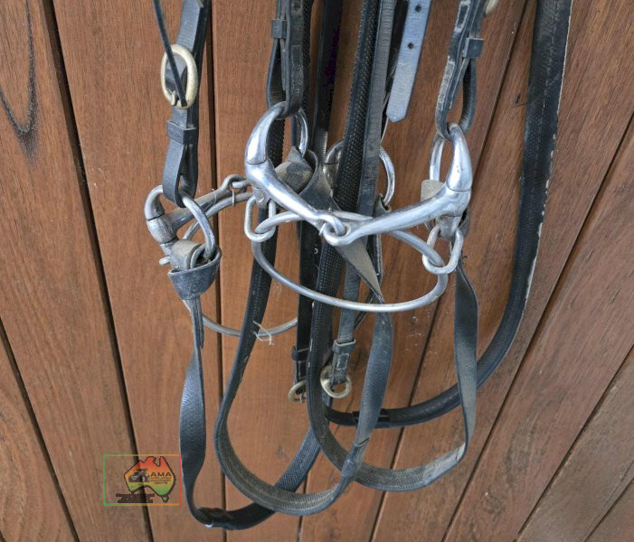 2x Leather Bridles - photo 2