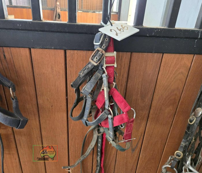 4x Halters