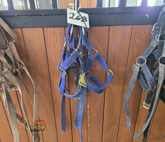 3x Halters