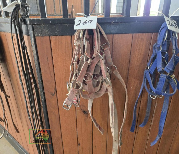 5x Halters