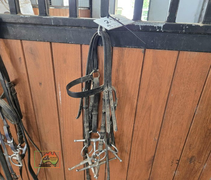 2x Bits - photo 2