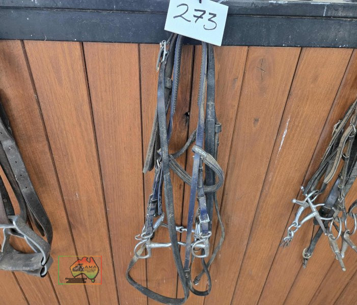 2x Bits - photo 2