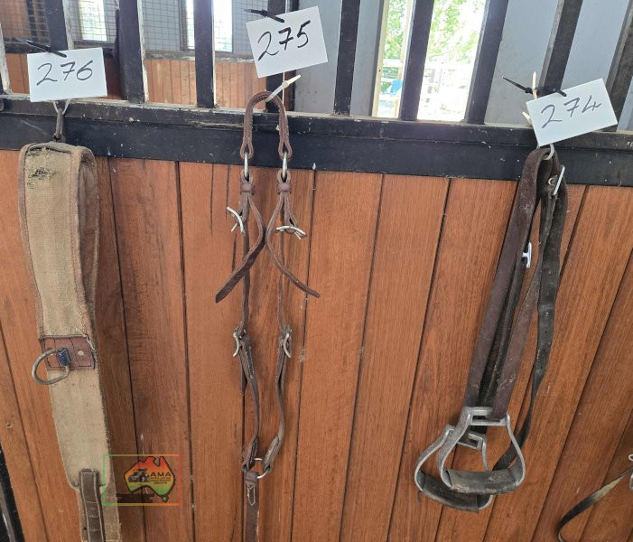Leather Lead Halter