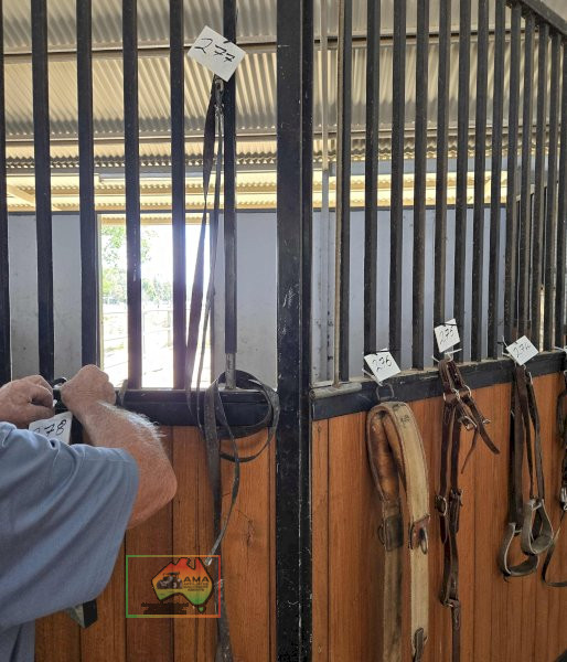 Leather Reins - photo 1