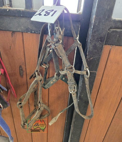 3x Leather Headstalls