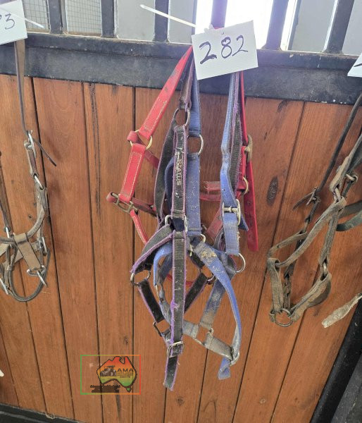 3x Headstalls