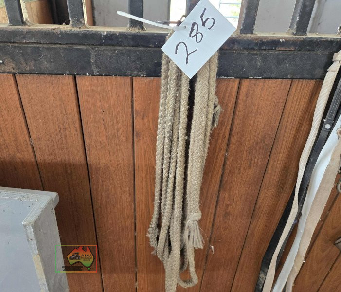 Lunging Rope