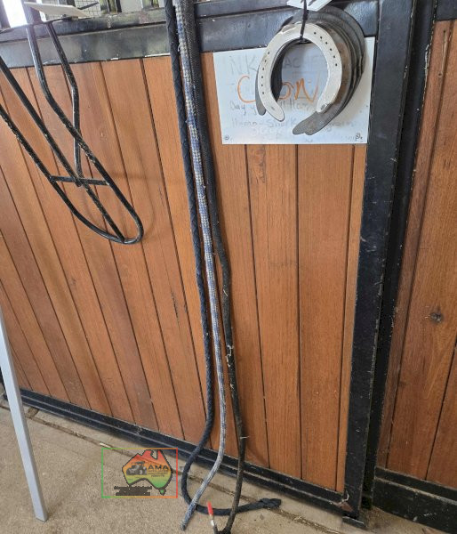 3x Lead Ropes - photo 2