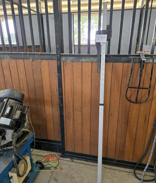 Horse Height (Hands) Measure - photo 2
