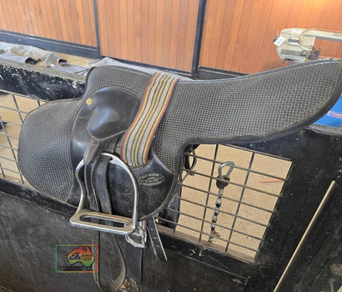 Fully Mounted Gumbrell Exercising Saddle - photo 4