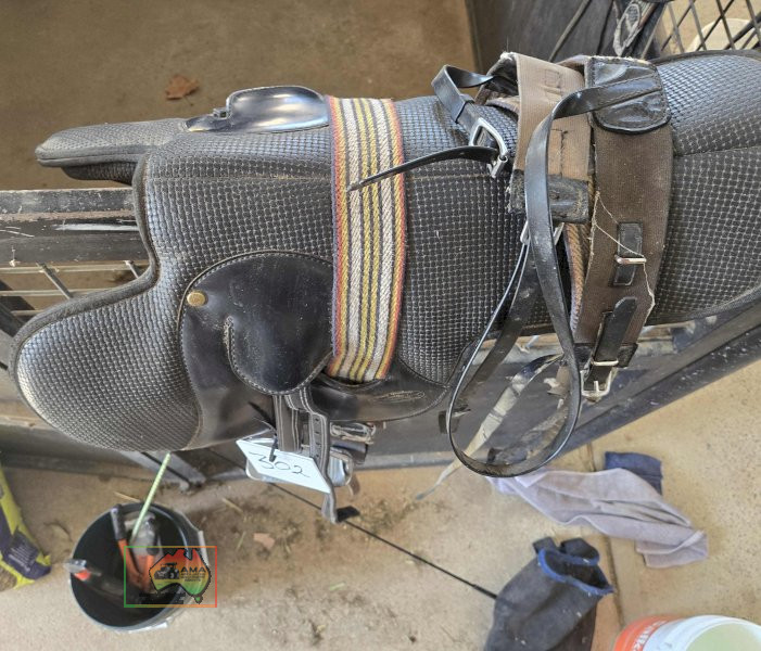 Fully Mounted Gumbrell Exercising Saddle - photo 3