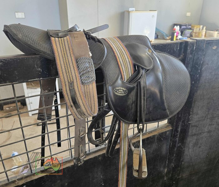 Fully Mounted Gumbrell Exercising Saddle