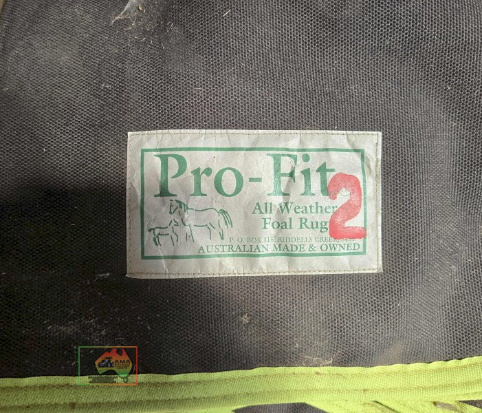 Pro-Fit Foal Rugs (Sizes 1 & 2) - photo 3