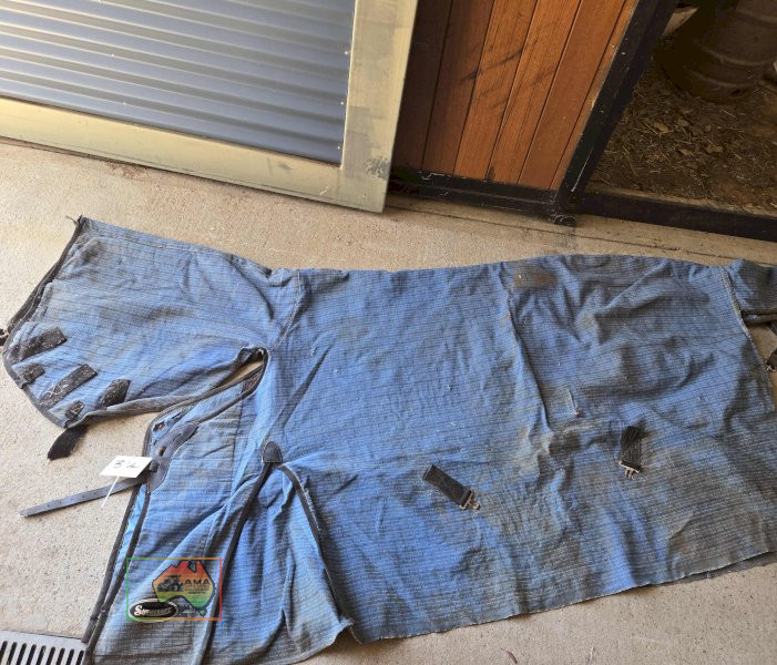 Showcraft 6-3 Rug - photo 2