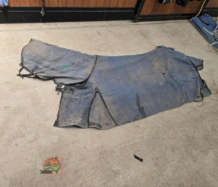 2x Showcraft 6-3 Rugs - photo 2