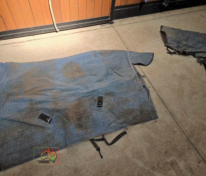 2x Showcraft 6-3 Rugs - photo 3