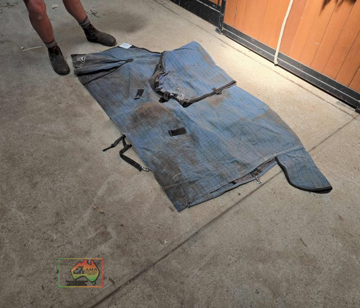 2x Showcraft 6-3 Rugs - photo 4