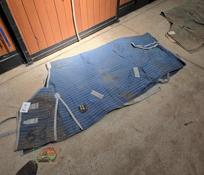2x Rugs, ZZ 6-6 & Canvas 6-0 - photo 3