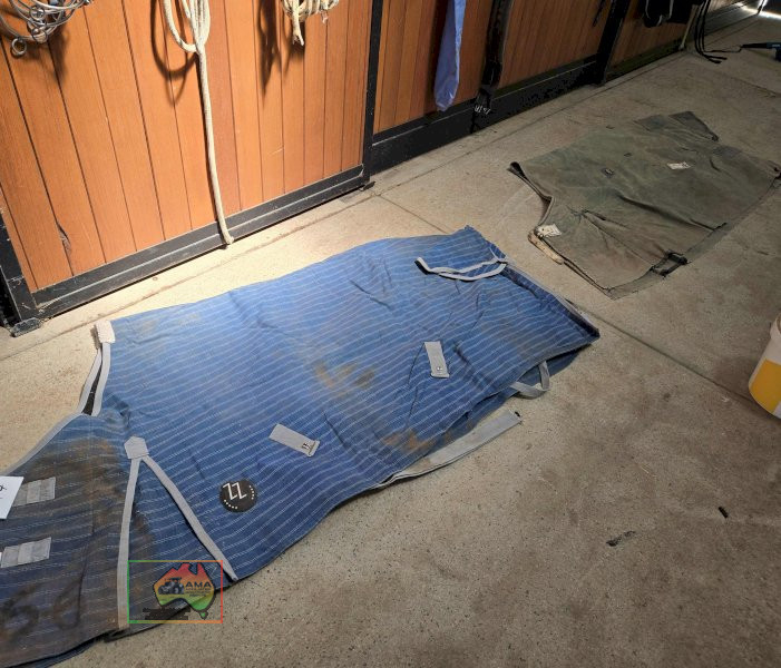 2x Rugs, ZZ 6-6 & Canvas 6-0