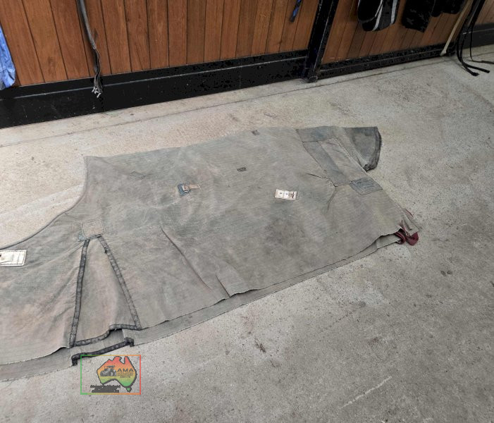 2x Rugs, ZZ 6-6 & Canvas 6-0 - photo 4