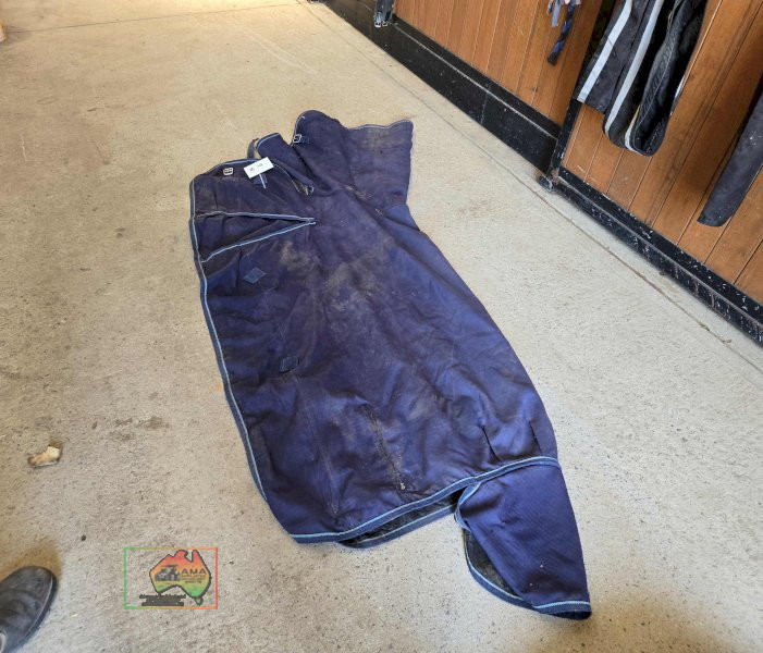 Pony/Yearling 4-9 Rug - photo 3