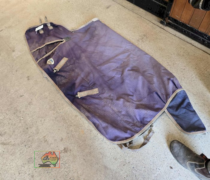 Weatherbeeta Pony/Yearling 5-3 Rug