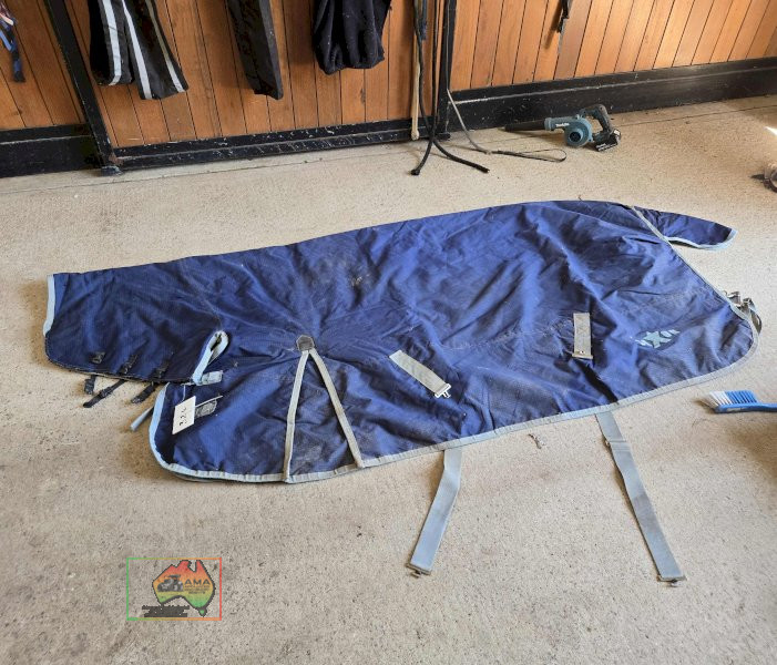 Saxon 6-0 Rug