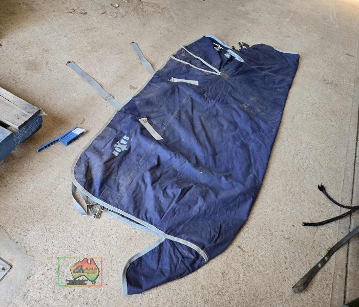 Saxon 6-0 Rug - photo 3