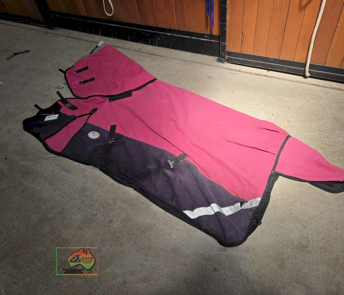 Luv My Horse 6-0 Rug with Detachable Neck