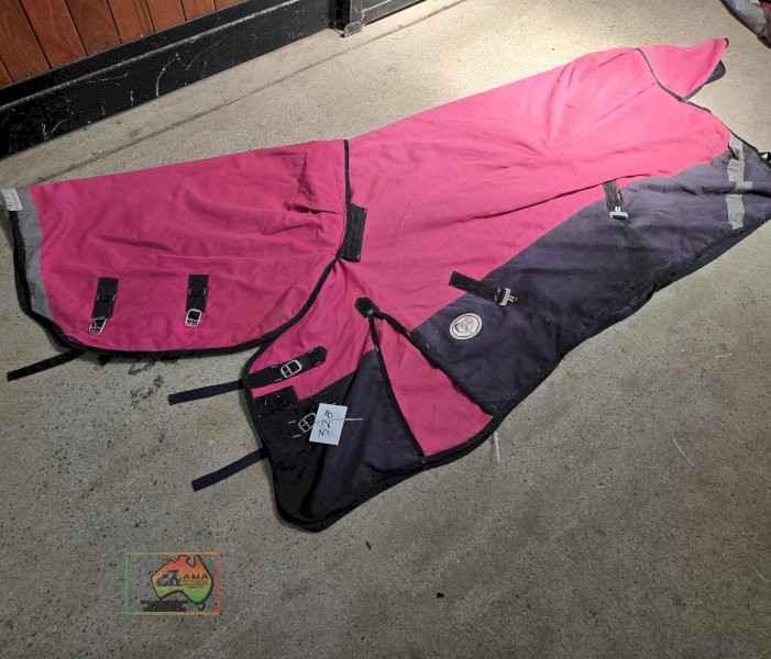 Luv My Horse 6-0 Rug with Detachable Neck - photo 2