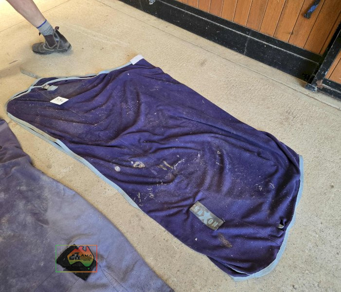 Saxon 5-9 Under Rug - photo 2