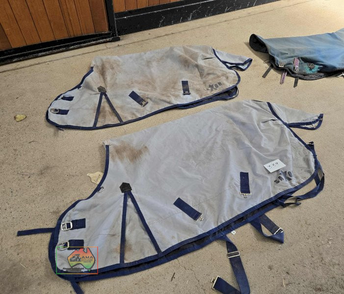 2x Saxon Pony Rugs - photo 2