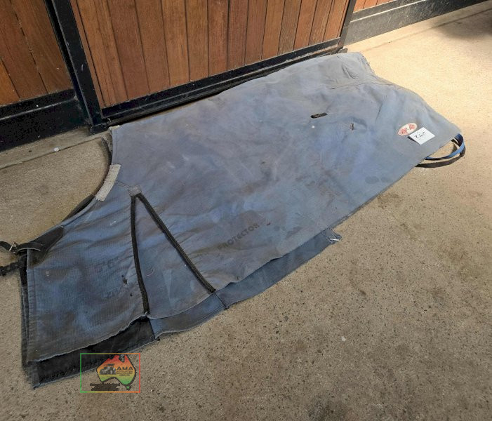 2x Zilco Canvas Rugs