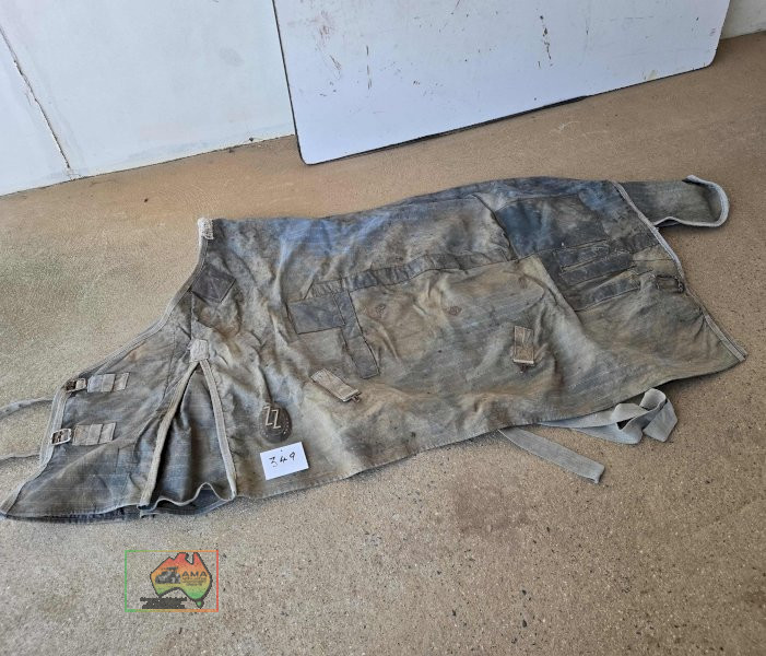 ZZ 5-9 Canvas Rug