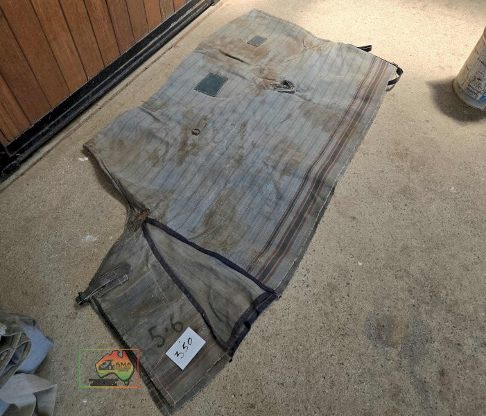 Canvas Rug 5-6 - photo 2