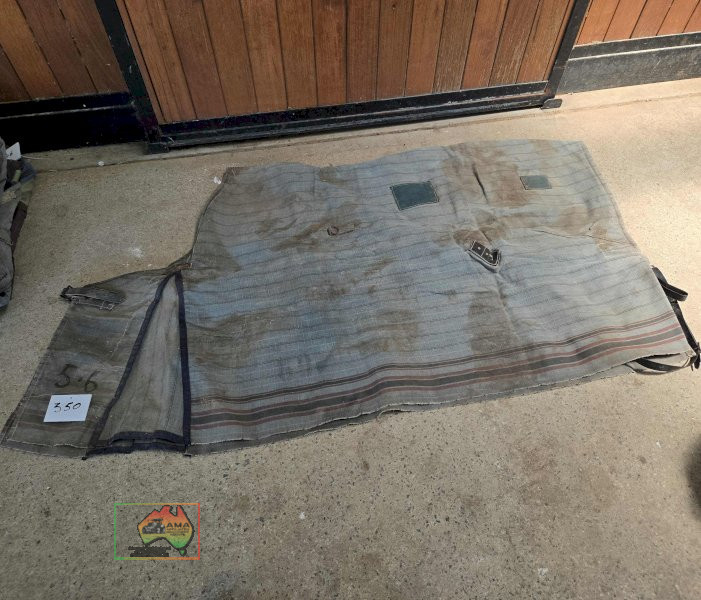 Canvas Rug 5-6 - photo 1